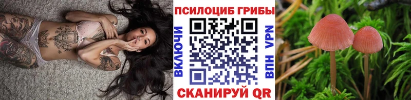 hydra tor  Чаплыгин  Псилоцибиновые грибы мухоморы  хочу наркоту 